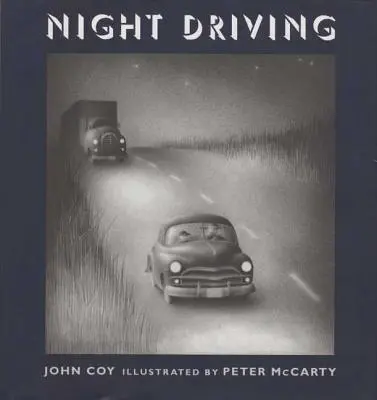 Éjszakai vezetés - Night Driving