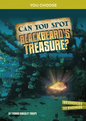 Felismered Feketeszakáll kincsét?: Interaktív kincskereső kaland - Can You Spot Blackbeard's Treasure?: An Interactive Treasure Adventure