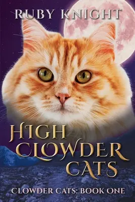 High Clowder macskák - High Clowder Cats