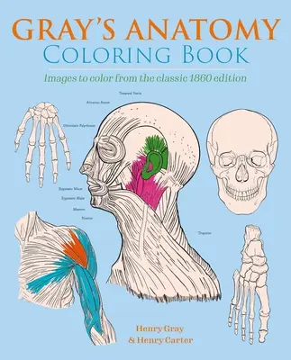 Gray anatómiája színezőkönyv: Színezhető képek a klasszikus 1860-as kiadásból - Gray's Anatomy Coloring Book: Images to Color from the Classic 1860 Edition