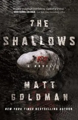 The Shallows: A Nils Shapiro Novel