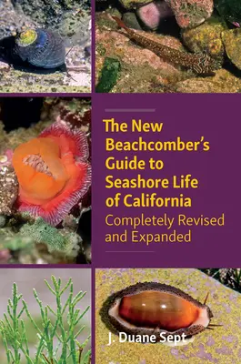 Az új strandoló kalauza a kaliforniai tengerparti élethez: Teljesen átdolgozott és kibővített - The New Beachcomber's Guide to Seashore Life of California: Completely Revised and Expanded