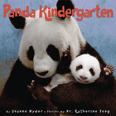 Panda óvoda - Panda Kindergarten