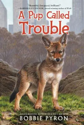 A Pupled Trouble - A Pup Called Trouble