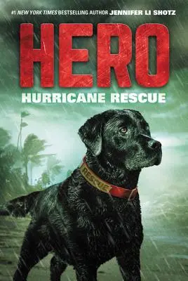 Hős: Hurrikán mentés - Hero: Hurricane Rescue