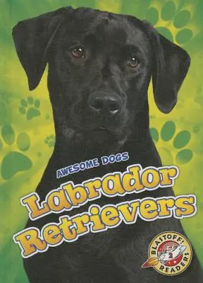 Labrador retrieverek Labrador retrieverek - Labrador Retrievers Labrador Retrievers