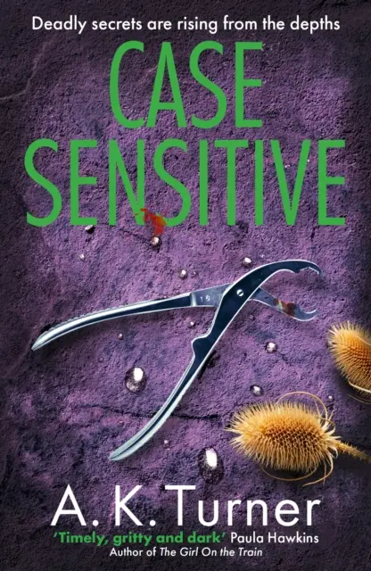 Case Sensitive - Egy lebilincselő törvényszéki krimi, amely Camdenben játszódik - Case Sensitive - A gripping forensic mystery set in Camden