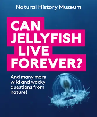 Örökké élhetnek-e a medúzák? És még sok más vad és furcsa kérdés a természetből! - Can Jellyfish Live Forever?: And Many More Wild and Wacky Questions from Nature!