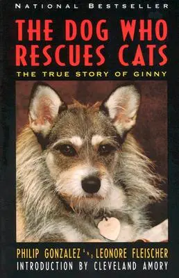 A kutya, aki macskákat ment: Ginny igaz története - The Dog Who Rescues Cats: True Story of Ginny, the