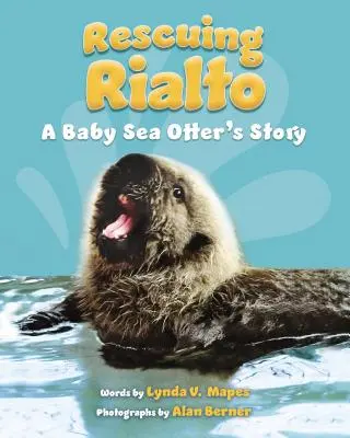 Rialto megmentése: Egy tengeri vidra bébi története - Rescuing Rialto: A Baby Sea Otter's Story