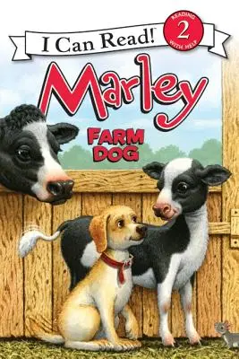 Marley: Marley: Farmkutya - Marley: Farm Dog