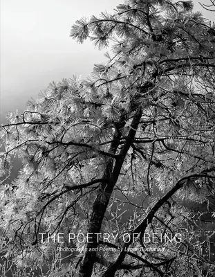 A lét költészete: Fotók és haikuk - The Poetry of Being: Photographs and Haikus