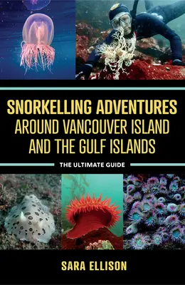 Snorkelling kalandok a Vancouver-sziget és az Öböl-szigetek körül: A végső útmutató - Snorkelling Adventures Around Vancouver Island and the Gulf Islands: The Ultimate Guide