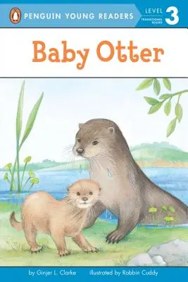 Baba vidra - Baby Otter