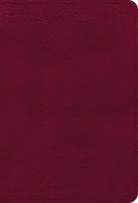 NASB Kompakt-Großdruckbibel, burgunderfarbener Lederüberzug - NASB Large Print Compact Reference Bible, Burgundy Leathertouch