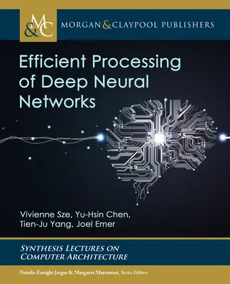 A mély neurális hálózatok hatékony feldolgozása - Efficient Processing of Deep Neural Networks