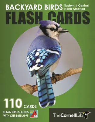 Backyard Birds Flash Cards - Keleti és Közép- Észak-Amerika - Backyard Birds Flash Cards - Eastern & Central North America