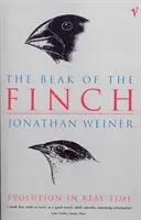 A pinty csőre - Beak Of The Finch