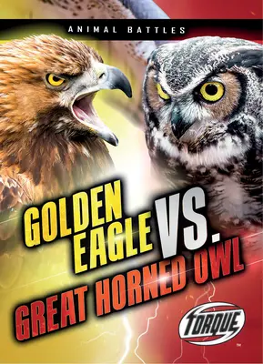 Aranysas vs. Fülesbagoly - Golden Eagle vs. Great Horned Owl