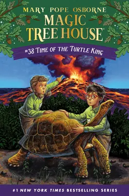 A teknőskirály ideje - Time of the Turtle King