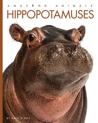 Vízilovak - Hippopotamuses