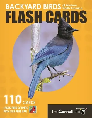 Backyard Madarak Flash kártyák - Nyugat Észak-Amerika - Backyard Birds Flash Cards - Western North America