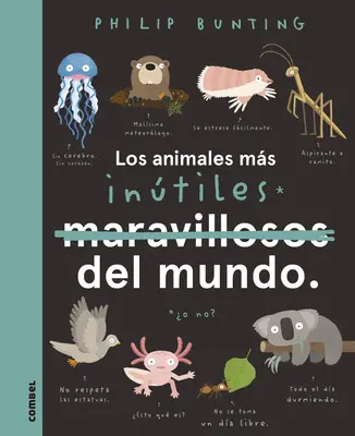 Los Animales Ms Intiles del Mundo