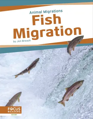 Halak vándorlása - Fish Migration