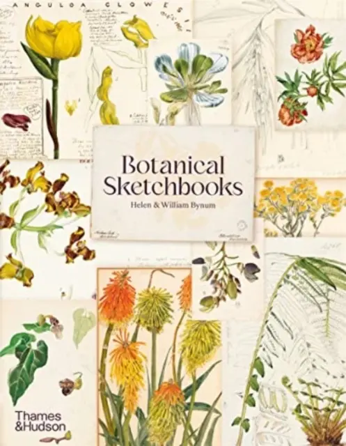 Botanikai vázlatfüzetek - Botanical Sketchbooks