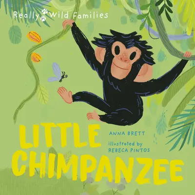 Kis csimpánz: Egy nap egy csimpánzbaba életében - Little Chimpanzee: A Day in the Life of a Baby Chimp