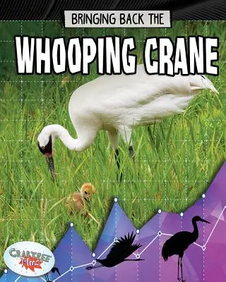 A szirti daru visszahozása - Bringing Back the Whooping Crane