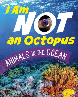 Nem vagyok polip: Állatok az óceánban - I Am Not an Octopus: Animals in the Ocean