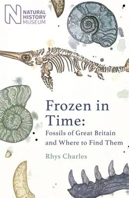 Megfagyva az időben: Nagy-Britannia kövületei és hol találhatók meg - Frozen in Time: Fossils of Great Britain and Where to Find Them