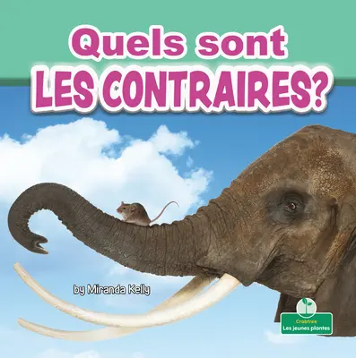 Quels Sont Les Contraires? (Mik az ellentétek?) - Quels Sont Les Contraires? (What Are Opposites?)