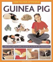 Hogyan vigyázzunk a tengerimalacra - How to Look After Your Guinea Pig