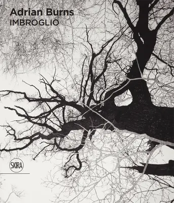 Adrian Burns: Imbroglio