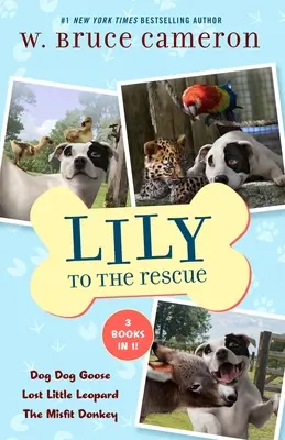 Lily to the Rescue Bind-Up Books 4-6: Dog Dog Goose, Lost Little Leopard, and Misfit Donkey (Lily na záchranu) - Lily to the Rescue Bind-Up Books 4-6: Dog Dog Goose, Lost Little Leopard, and the Misfit Donkey