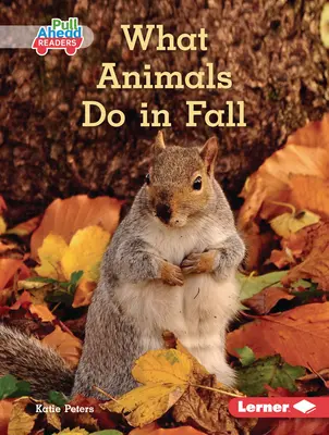 Mit csinálnak az állatok ősszel - What Animals Do in Fall
