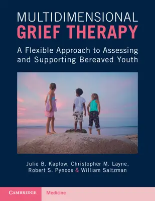 Többdimenziós gyászterápia - Rugalmas megközelítés a gyászoló fiatalok értékeléséhez és támogatásához - Multidimensional Grief Therapy - A Flexible Approach to Assessing and Supporting Bereaved Youth