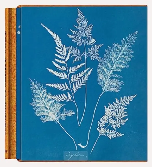 Anna Atkins. Cyanotypes