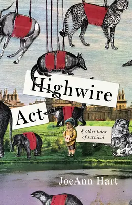 Magas drótkötél és más túlélési történetek - Highwire Act & Other Tales of Survival