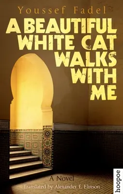 Egy gyönyörű fehér macska sétál velem - A Beautiful White Cat Walks with Me