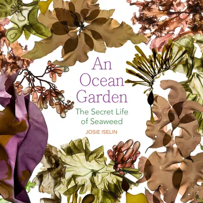 Egy óceáni kert: A tengeri moszatok titkos élete - An Ocean Garden: The Secret Life of Seaweed