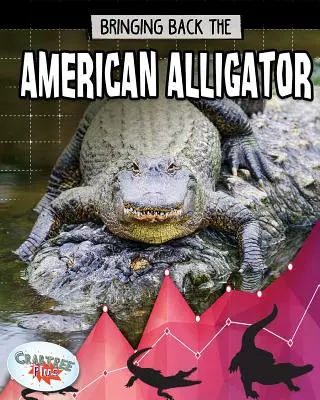 Az amerikai aligátor visszahozása - Bringing Back the American Alligator