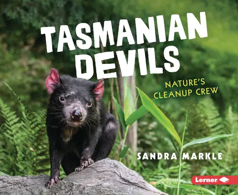 Tasmániai ördögök: A természet takarítóbrigádja - Tasmanian Devils: Nature's Cleanup Crew