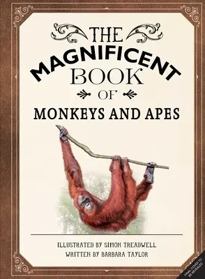 The Magnificent Book of Monkeys and Apes (A majmok és majmok csodálatos könyve) - The Magnificent Book of Monkeys and Apes