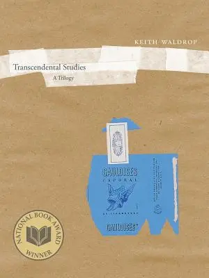 Transzcendentális tanulmányok: Trilógia 27. kötet - Transcendental Studies: A Trilogy Volume 27