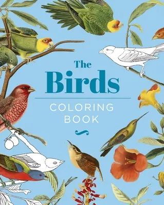 A madarak színezőkönyv: Keménykötéses ajándék kiadás - The Birds Coloring Book: Hardback Gift Edition