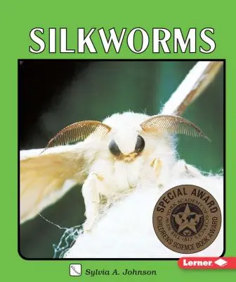 Selyemhernyók - Silkworms