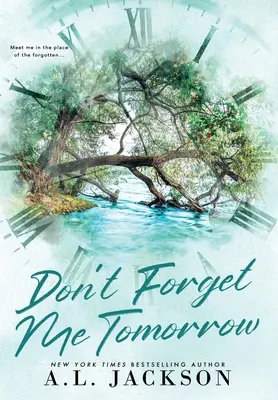 Don't Forget Me Tomorrow (Keménykötés) - Don't Forget Me Tomorrow (Hardcover)